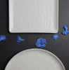 White Matte Porcelain Dinnerware Set-Guangzhou Hotel Supplier