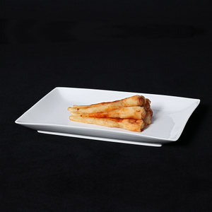 High Grade Rectangular Plate Restaurant Rectangular Plate 10*4.5 Inch