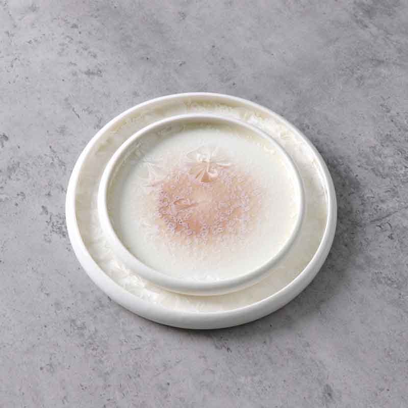 Durable porcelain plate for catering projects