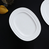 White porcelain dinner plate with food fine dining presentation