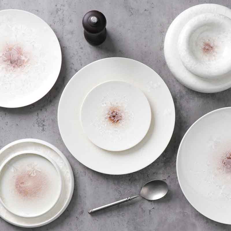 Commercial porcelain plate for hospitality dining Title：