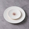Hotel dining porcelain plate OEM custom service