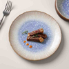 Commercial porcelain plates for hotel table service
